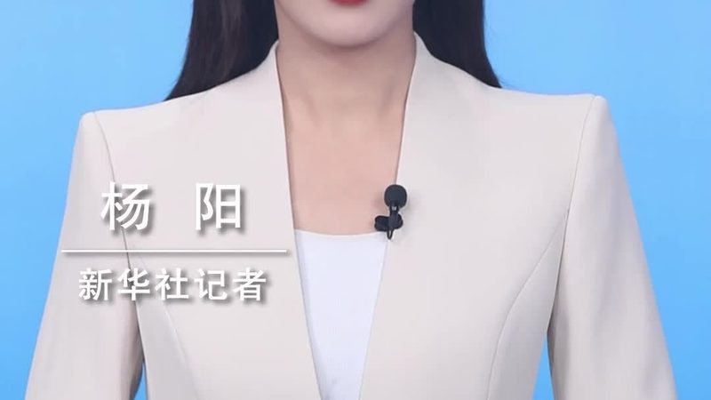 数据仓库建模：构建企业决策的坚实基石